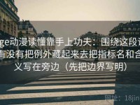 age动漫读懂靠手上功夫：围绕这段话有没有把例外藏起来去把指标名和含义写在旁边（先把边界写明）
